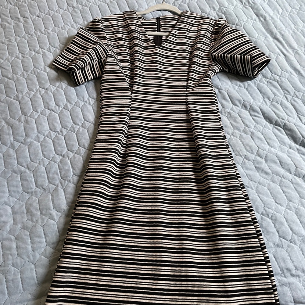 Striped Black and White Women's Dress